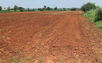 5,10,21 Bigha Agriculture Land on Sale @8279137297